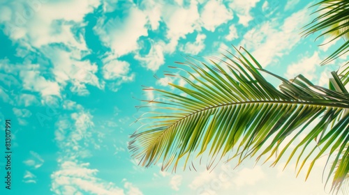 tropical beach and nature green palm leaf with blue sky white cloud abstract background. Copy space of summer vacation and business travel concept. Vintage tone filter color style. summer day