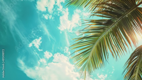 tropical beach and nature green palm leaf with blue sky white cloud abstract background. Copy space of summer vacation and business travel concept. Vintage tone filter color style. summer day