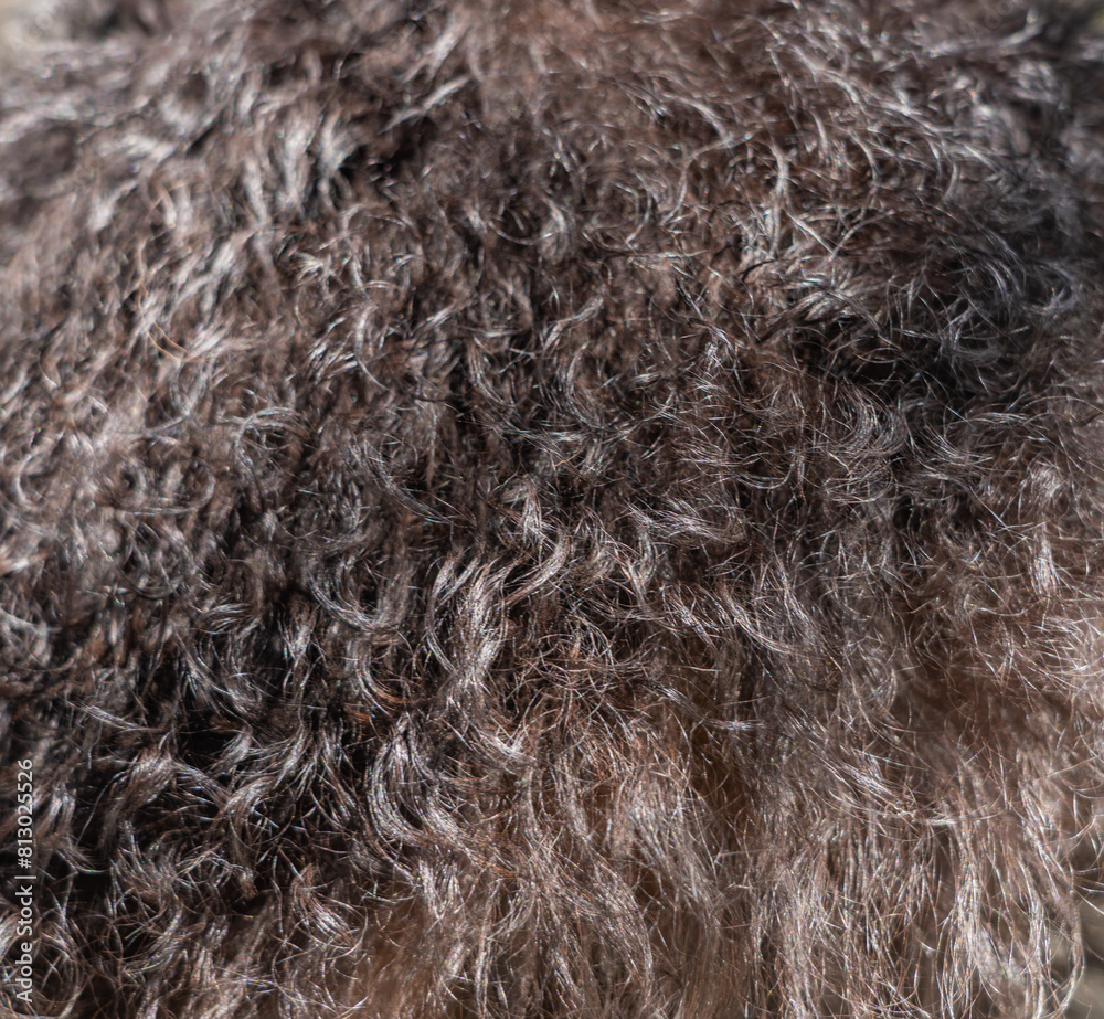 Fototapeta premium close up of fur texture