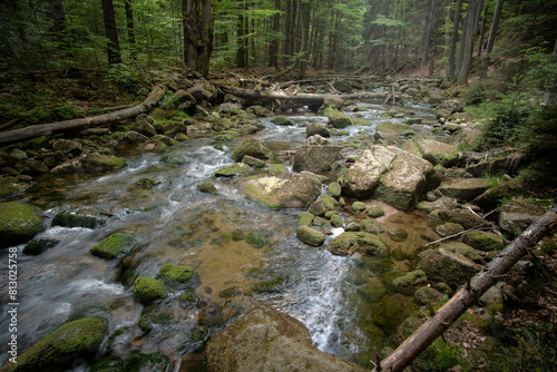 Potok Kamienna, Szklarska Poręba