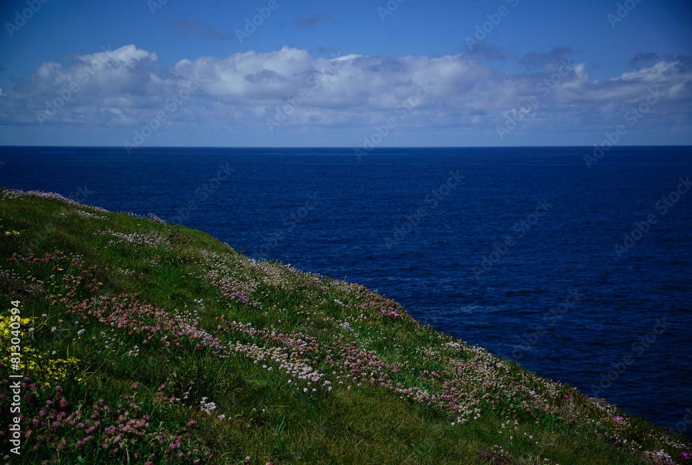 Fototapeta premium Seashore with spring flowers and clouds on the horizon