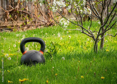 heavy kettlebell and dwarf cherry tree in blossom in a backyard lawn with dandelions photo