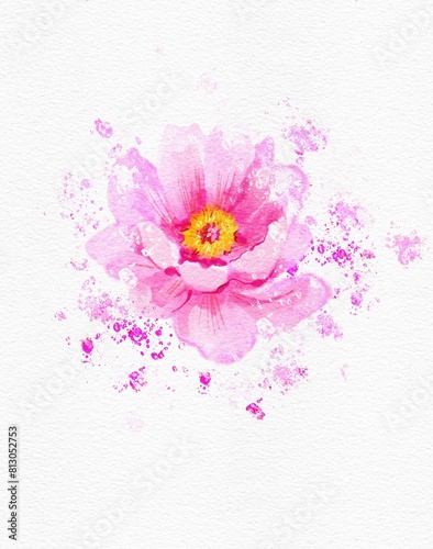 flower background. Pink peony flower. Hand drawn watercolor.  © Olesia La