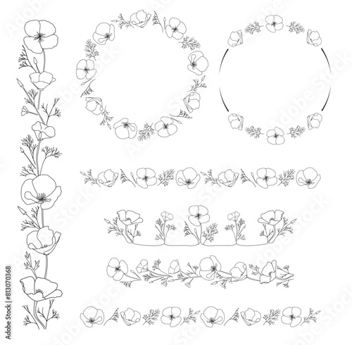 vector design elements with Eschscholzia flowers. California poppy - frames and delimiters