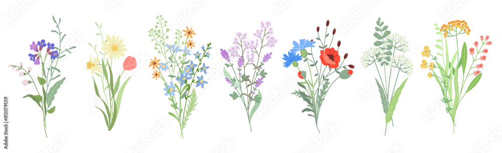 custom made wallpaper toronto digitalSet of cute, beautiful different bouquets with wildflowers and herbs. Compositions of delicate flowering meadow plants, stems, leaves. Floral botanical vector flat decoration