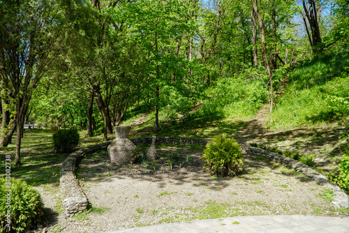 mountain forest