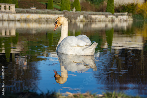 birds photo