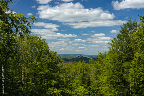 view to the Wartburg castle near Eisenach in the western Thuringian Forest
