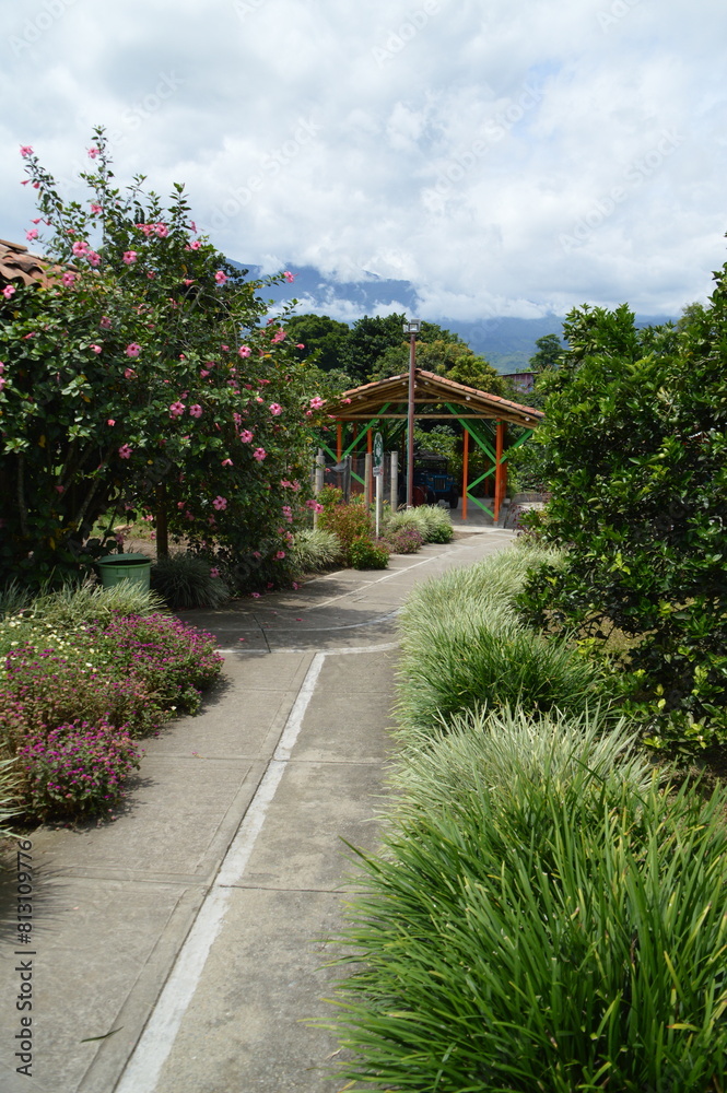 Obraz premium Eje cafetero, Colombia