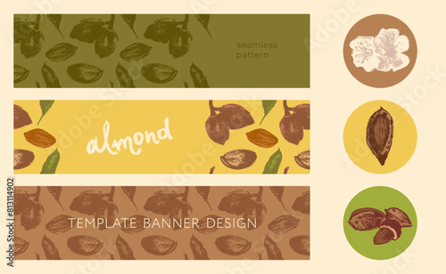 Template organic nutrition banner set. Hand drawn almond seamless pattern. Nuts illustrations. Web banner, oil packaging or marzipan paste label design. Floral sketches background, almond ornament.