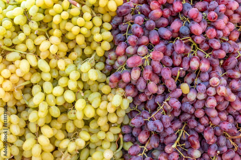 Natural background made of different grapes. Food background. Natural background made of different grapes. Food background.