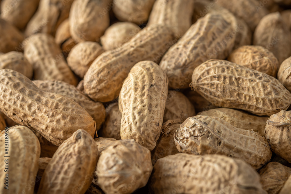 Close-up view of peanut in a shell. Food background. Top view. Close-up view of peanut in a shell. Food background. Top view.