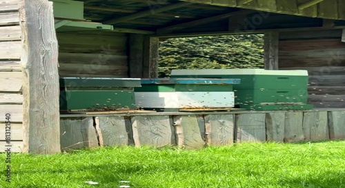 Beehives in an open shed on green garden grass in spring. Active beekeeping scene with buzzing bees. Vertical video.