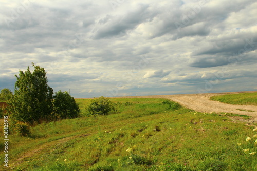 A grassy field with trees and a cloudy sky