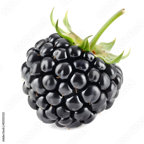 Isolated berry. One fresh blackberry fruit with stem isolated on white background