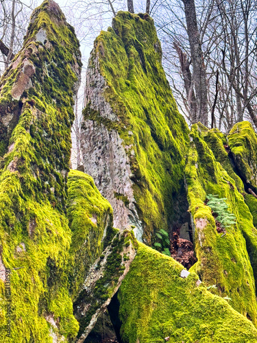 Obraz na płótnie northern sharp rocks w salonie