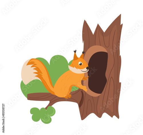 Cute red squirrel cartoon forest animal character coming hollow home on tree isolated on white