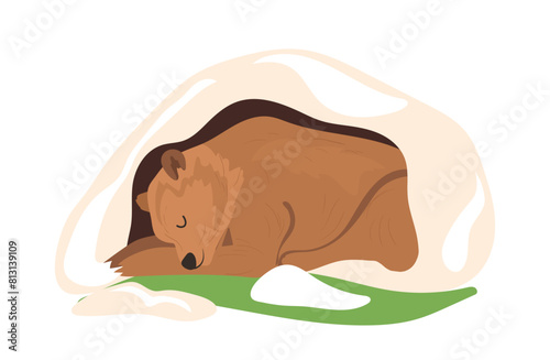Cute sleeping bear isolated cartoon forest animal character enjoying hibernation in burrow home photo