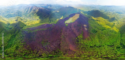 Obraz na płótnie drone flies over a spring Carpathian peak with an interesting phenomenon - the mountain forest on the mountain is green up to a certain height, and above without leaves w salonie