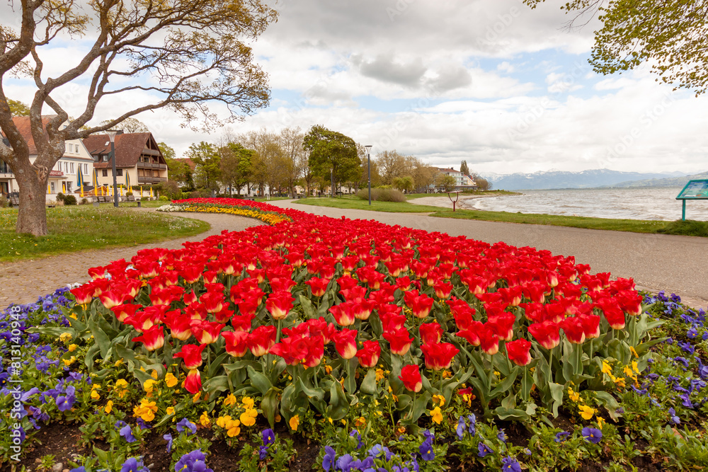 There are many flowers on the Bodensee embankment in Langenargen There are many flowers on the Bodensee embankment in Langenargen