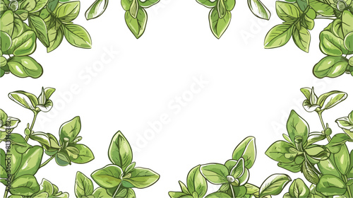Marjoram herb banner or social media post in sketch