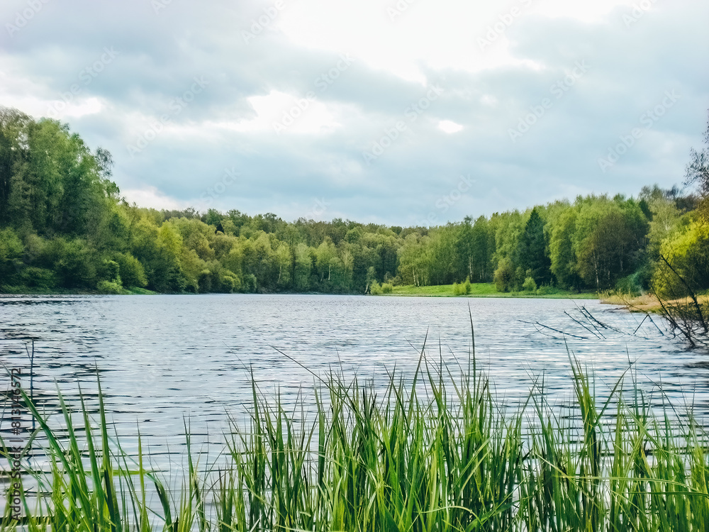 Obraz premium view of a lake in the forest. Spring scenery in natural woodland.