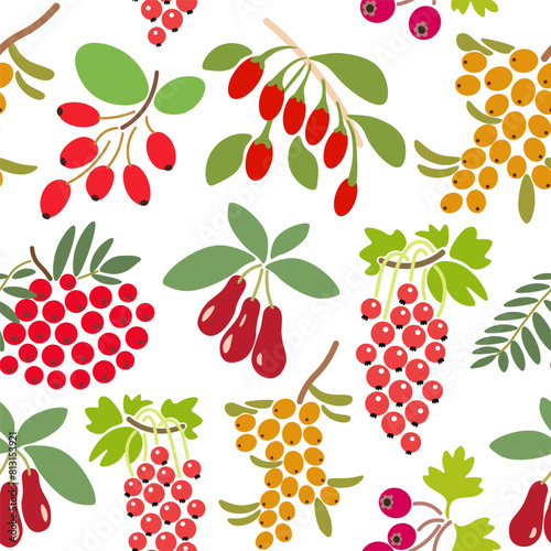 color isolated seamless pattern berries in flat shape style in vector. template for backdrop textile wallpaper wrapping background print decor design