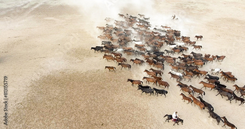 A herd of horses is running across a sandy field. aerial view of a herd of horses