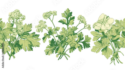 Parsley aromatic kitchen herb seamless vertical ori photo
