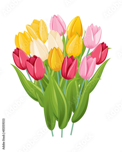 Bouquet of colorful tulips isolated on white background. Vector illustration.