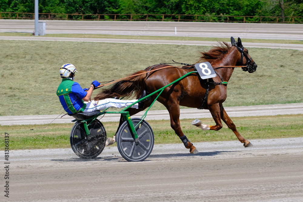 Racing horses trots and rider on a track of stadium. Competitions for trotting horse racing. Horses compete in harness racing. Horse runing at the track with rider.
Racing horses trots and rider on a track of stadium. Competitions for trotting horse racing. Horses compete in harness racing. Horse runing at the track with rider.