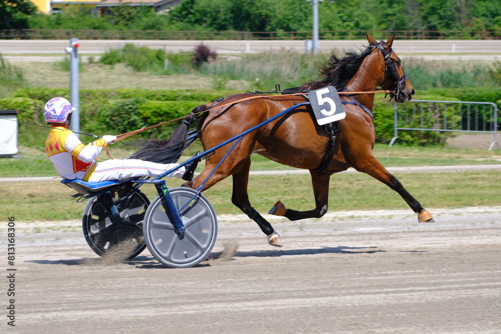 Racing horses trots and rider on a track of stadium. Competitions for trotting horse racing. Horses compete in harness racing. Horse runing at the track with rider.
Racing horses trots and rider on a track of stadium. Competitions for trotting horse racing. Horses compete in harness racing. Horse runing at the track with rider.