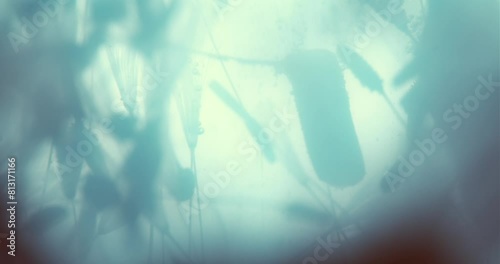 Abstract Underwater Space Submerged  in Cyan Liquid