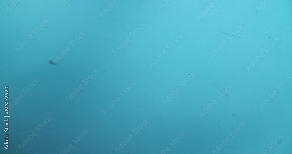 Dust Particles Moving Gently Underwater Dust Particles Moving Gently Underwater