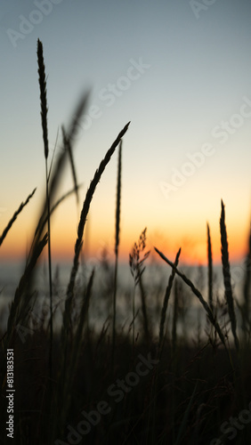 Obraz na płótnie sunset over the Polish sea - beautiful view behind tall grass w salonie