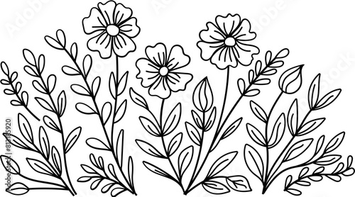 Wildflowers in the field 