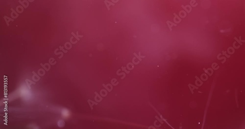 Floral Abstract Composition Submerged in Murky Liquid