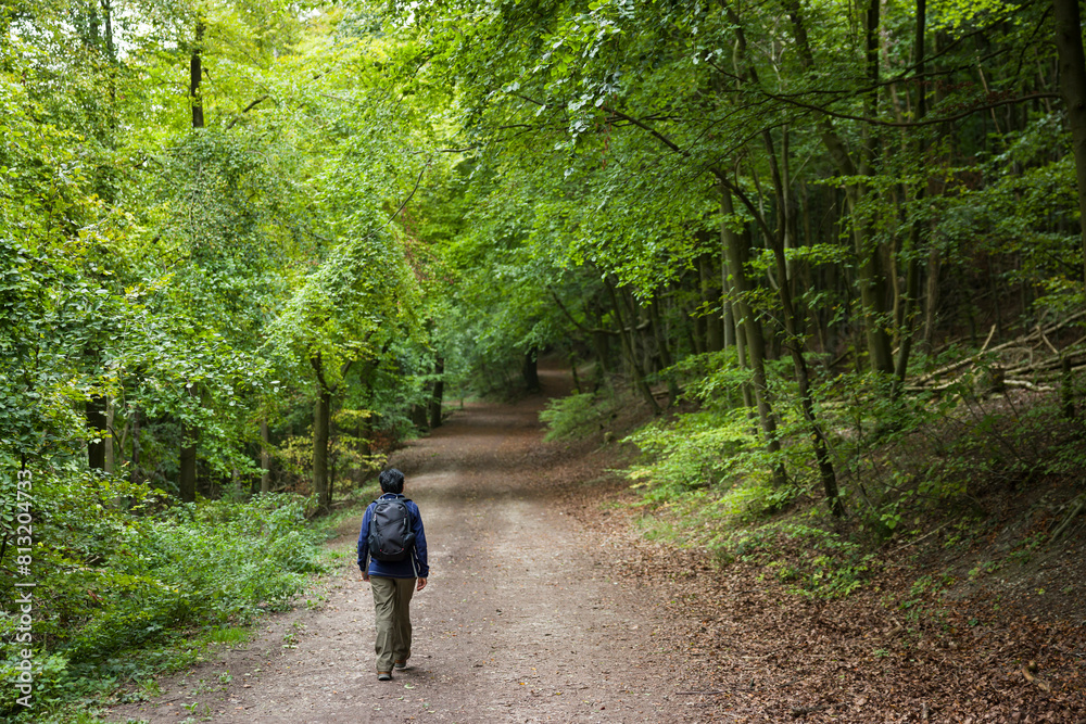 Asian Indian woman hiking alone in forest, Buckinghamshire, UK Asian Indian woman hiking alone in forest, Buckinghamshire, UK