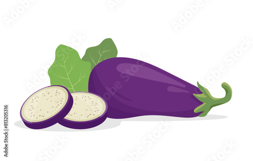 Fresh whole Eggplant and slices. Farm vegetable eggplant plant icon. Organic garden vegetarian food. Vector illustration isolated on white background.