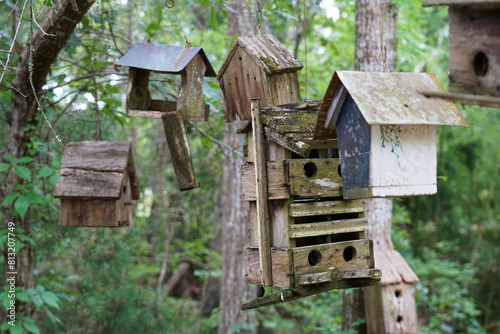 wooden bird house