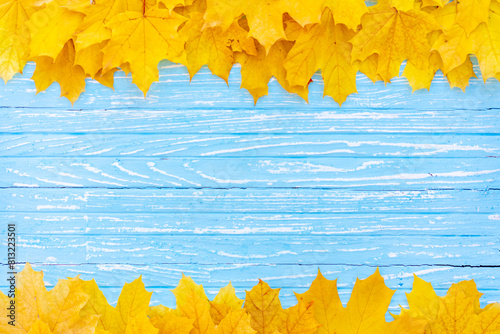 Autumn leaves frame on one down and up side wooden blue background top view Fall Border yellow and Orange Leaves vintage wood table Copy space. Mock up for your design. Display for product or text