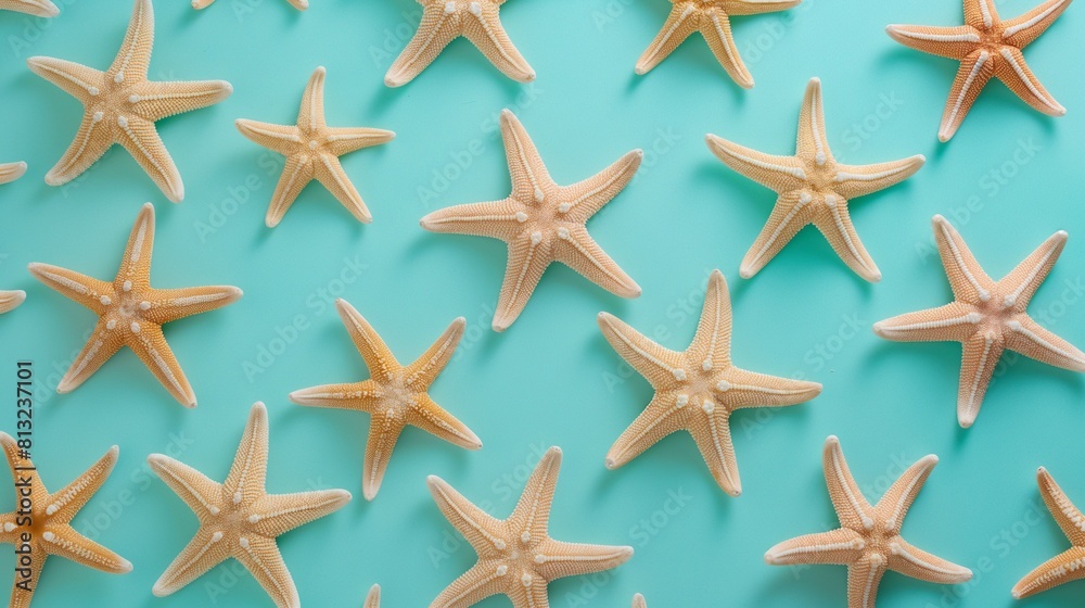 Pattern with starfishes on aqua-blue background. Flat lay summer concept in pastel colors. Pattern with starfishes on aqua-blue background. Flat lay summer concept in pastel colors.