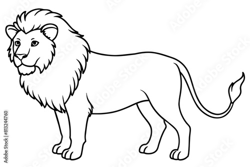 lion line art silhouette illustration