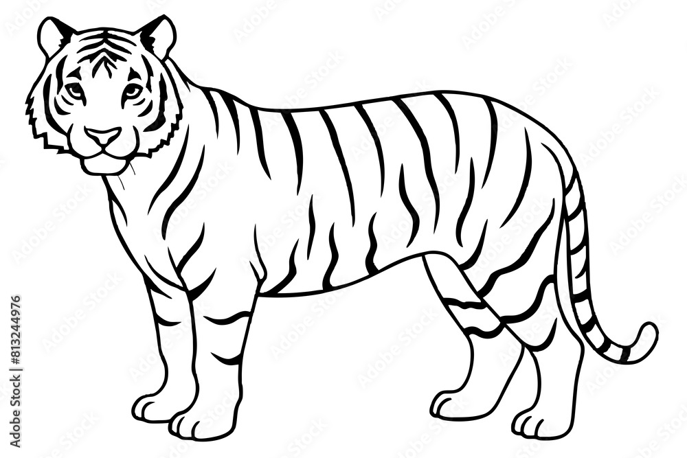 tiger line art silhouette illustration tiger line art silhouette illustration