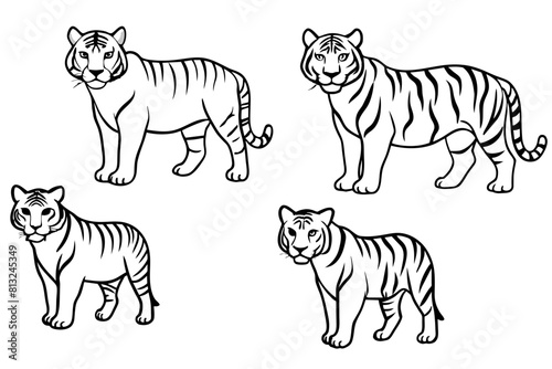 tiger line art silhouette vector illustration