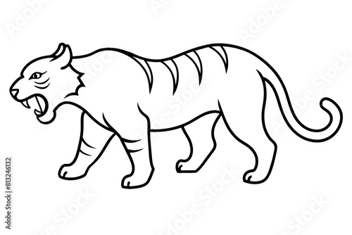 tiger cartoon vector illustration