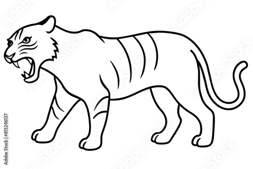 tiger cartoon vector illustration