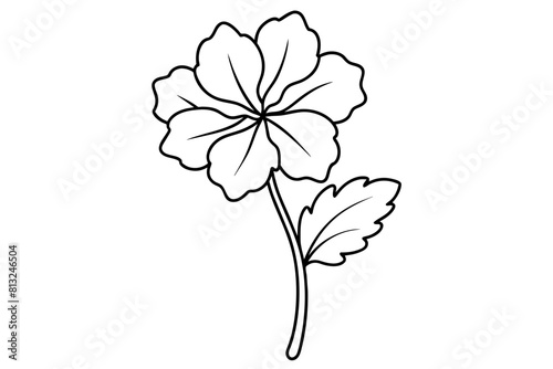 geranium flower vector illustration
