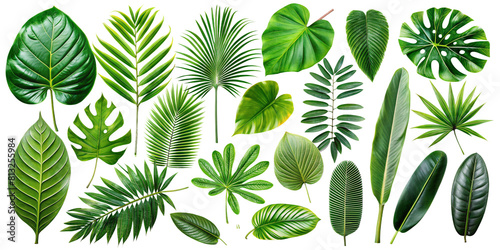 Vibrant Tropical Green Leaves Set on Transparent Background