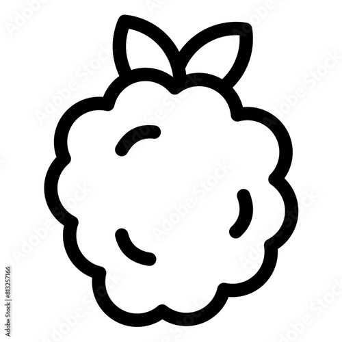 raspberry icon 